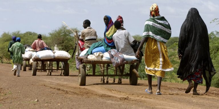 Cameroun/Terrorisme : la secte Boko haram enlève une dizaine de femmes et enfants à l’extrême nord