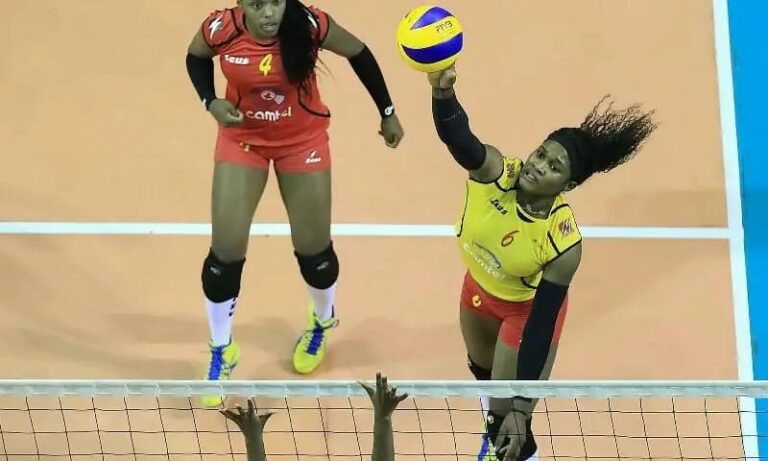 Volley-ball féminin 2023 la composition des poules connue.
