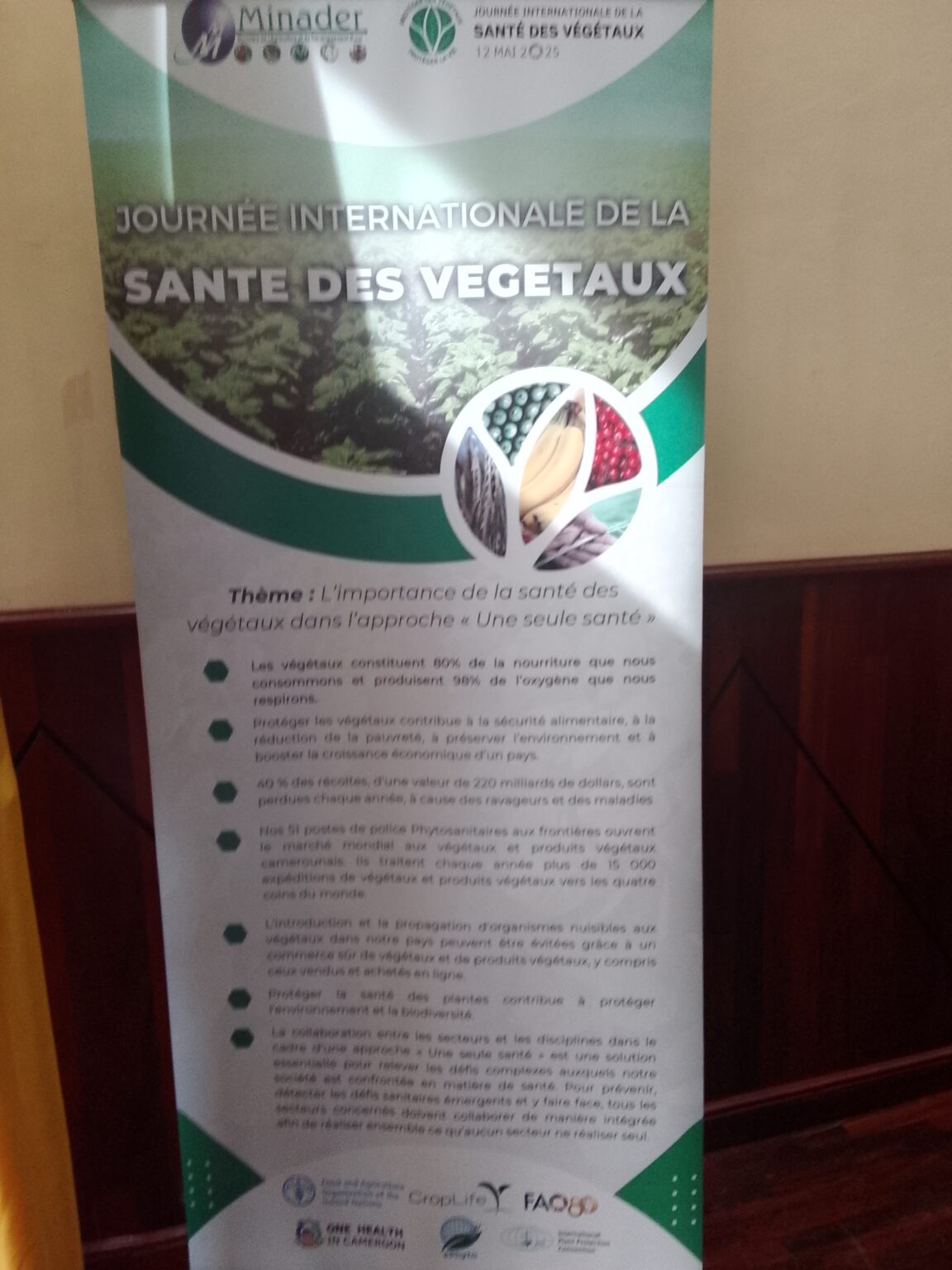 Santé : Une table ronde sur la santé des végétaux au Cameroun